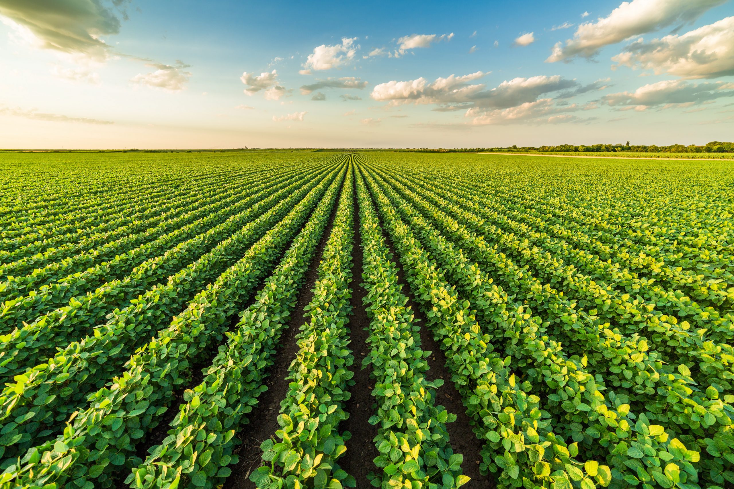 Agrocapital